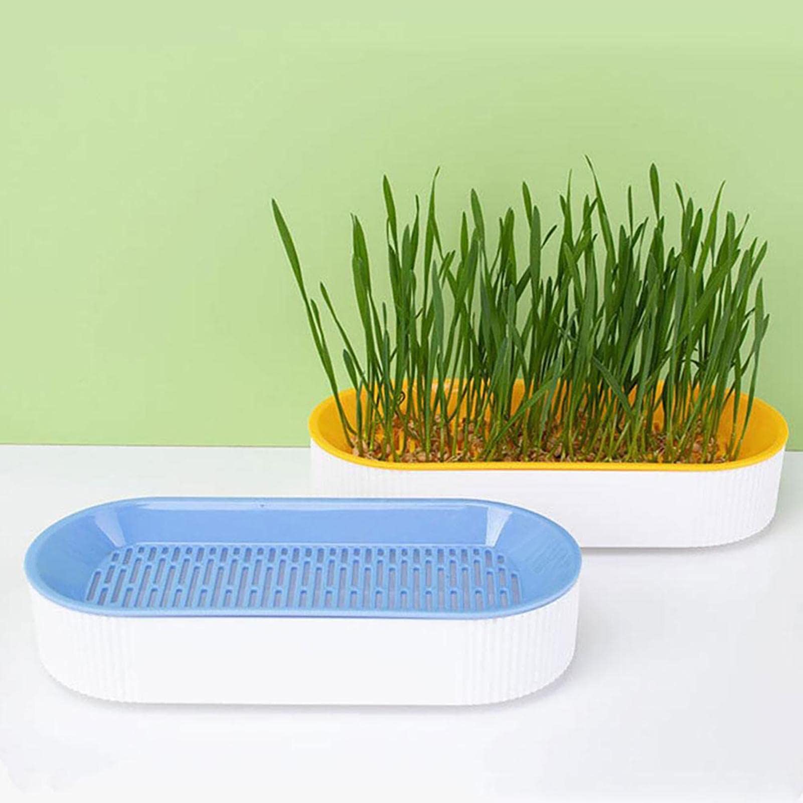 Boîte De Culture Hydroponique Pour Herbe à Chat - Bac Plastique 18.2x11.8x4 Cm - Plateau Amovible, Facile à Nettoyer - Pour Chats D'intérieur - 2