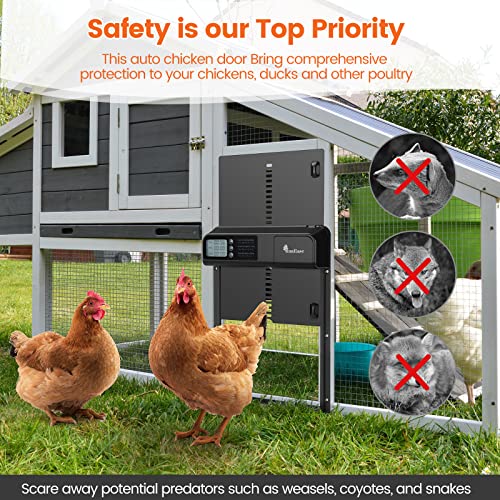 Runease Automatic Chicken Coop Door With Timer, Auto Chicken Door Opener With Lcd Display, Aluminum Material, Easy-To-Install, Smart Sensor & Battery Slot, Fits All Chickens & Ducks #TOP20