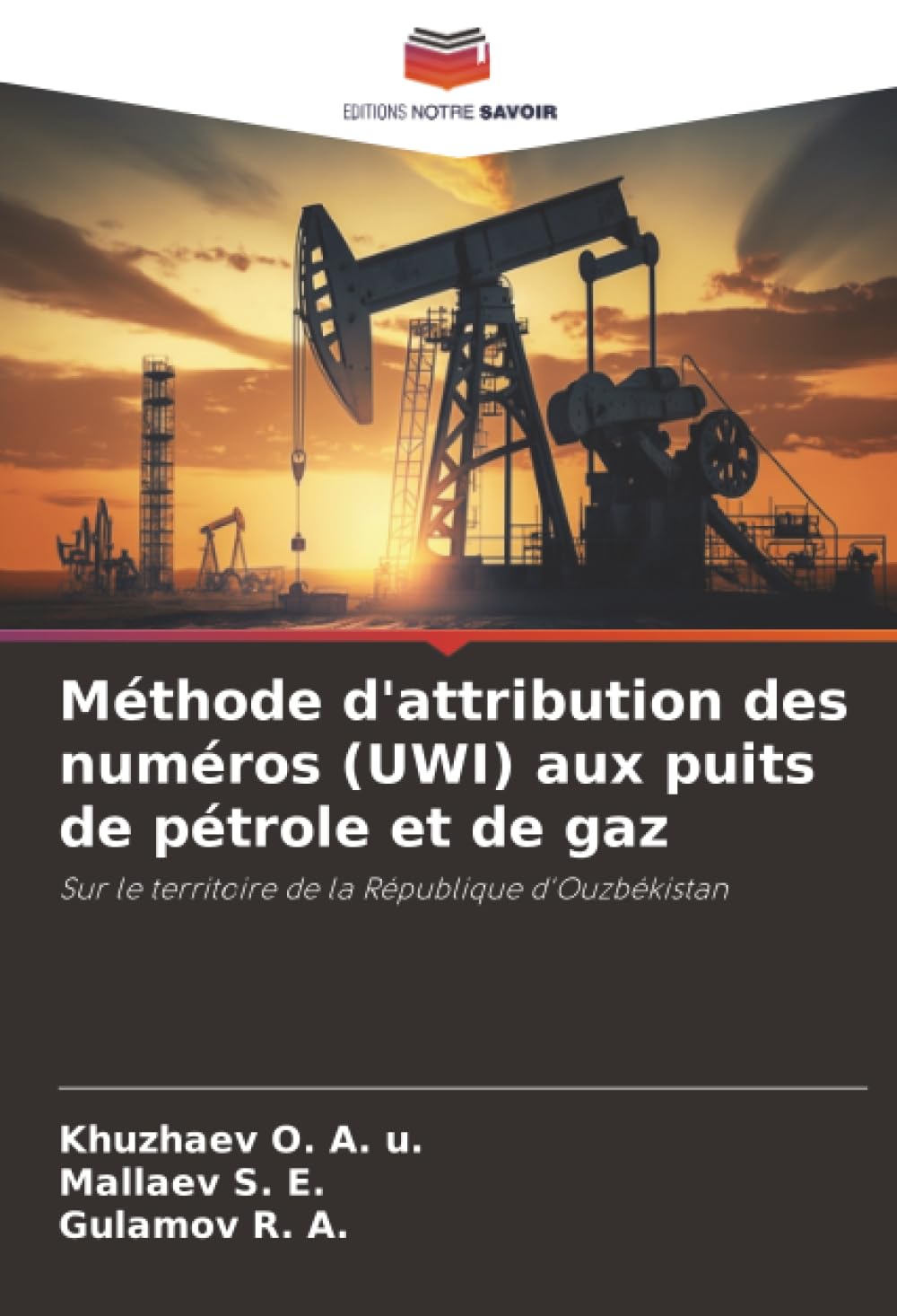 Méthode d'attribution des numéros (UWI) aux puits de pétrole et de gaz: Sur le territoire de la République d'Ouzbékistan