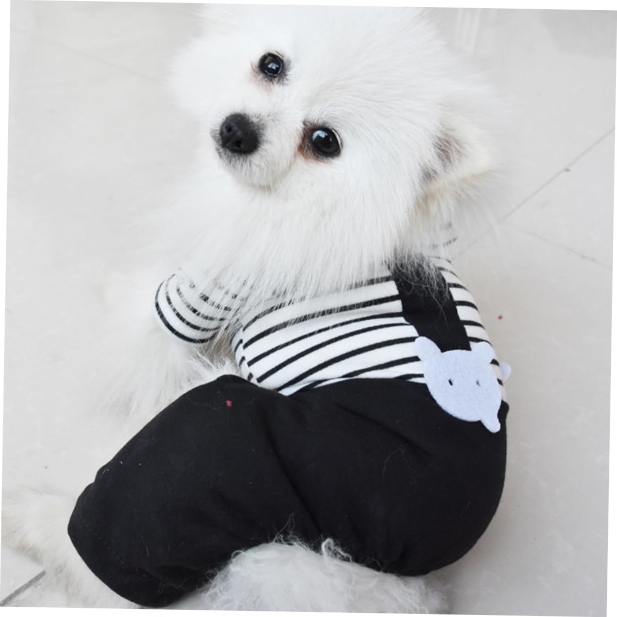 YARNOW 3 Pz costume da cane costume da compagnia vestiti sgargianti giubbotto per cane abbigliamento cane bretella per cani vestiti per cani tenere caldo Tuta da lavoro vestiti del cane