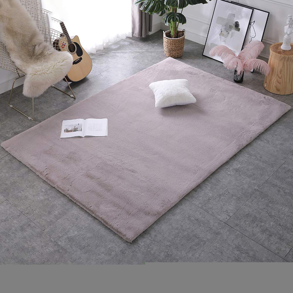 VBGHB Ultra Soft Area Rug,Plush Shaggy Rug Floor Mat,for Living Room Bedroom Anti Slip Carpet Fluffy Rug Nursery -e 90x140cm(35x55inch)