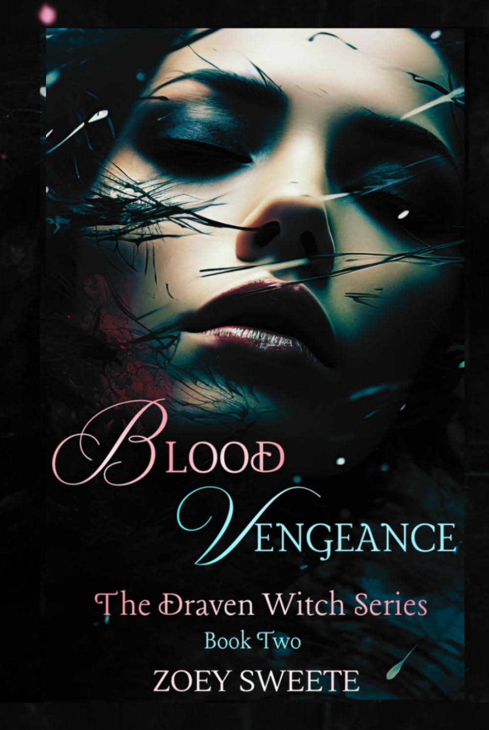Blood Vengeance The Draven Witch Series Book Two