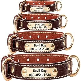 ZQDJ Genuine Leather Personalized Dog Collars Custom Dog Collar with Name for Large Medium Small Dogs（XS-S）