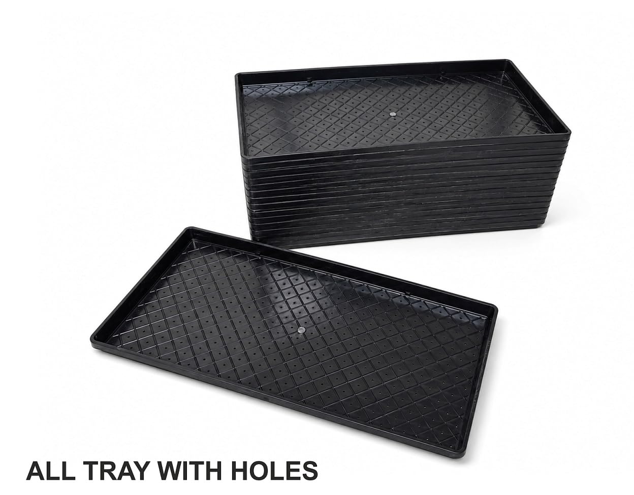 Wheat Grass Trays - Set of 20 for Microgreens -3 Wheat Grass Trays - Set of 20 for Microgreens -3