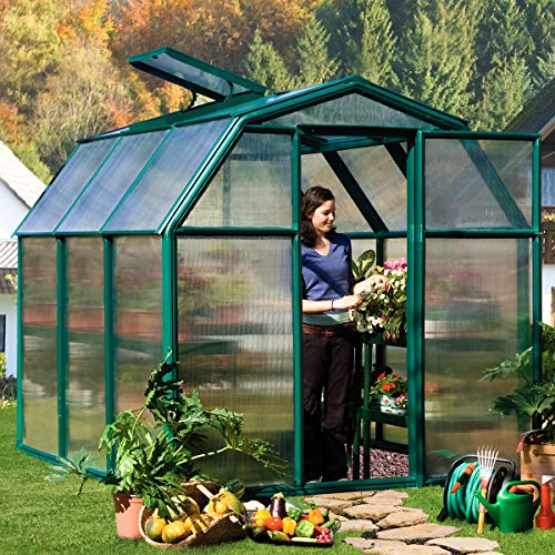 Gärtner Pötschke Palram First Class 33 - Invernadero con marco de base