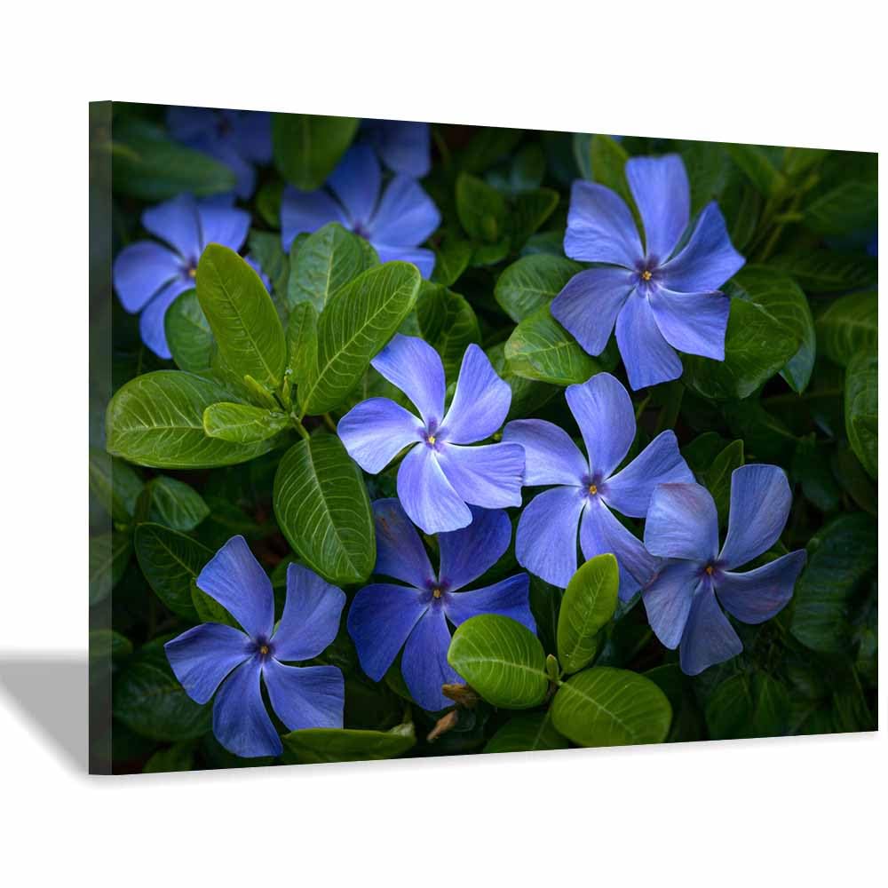 ZAMAEIU Landscape Wall Art Periwinkle Artwork for Walls, Canvas Prints Paintings Room Decor, for Bedroom Kitchen Office Fireplace Wall Decor(green)-60x90cm Framed