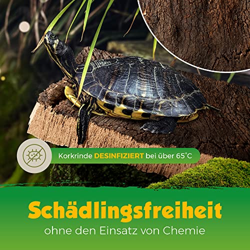 Kork Rinde | Kork Platte | Kork Stücke aus Naturkork der Korkeiche | 30 x 40 x 3 cm | unbehandelt & natürlich | Rohware der Korkrinde | thermisch desinfiziert | Ideal für Terrarium | für Nager & Vögel
