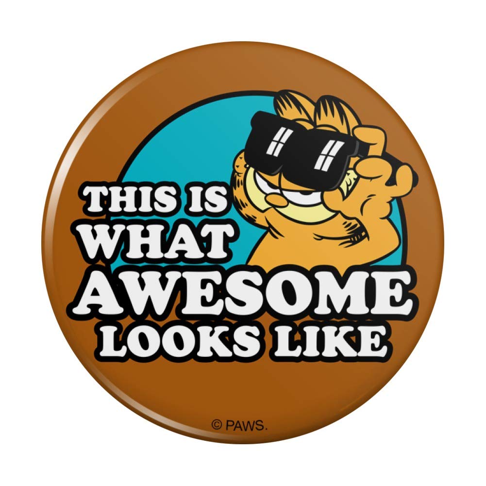 Garfield This is What Awesome Looks Like Pinback Button Pin