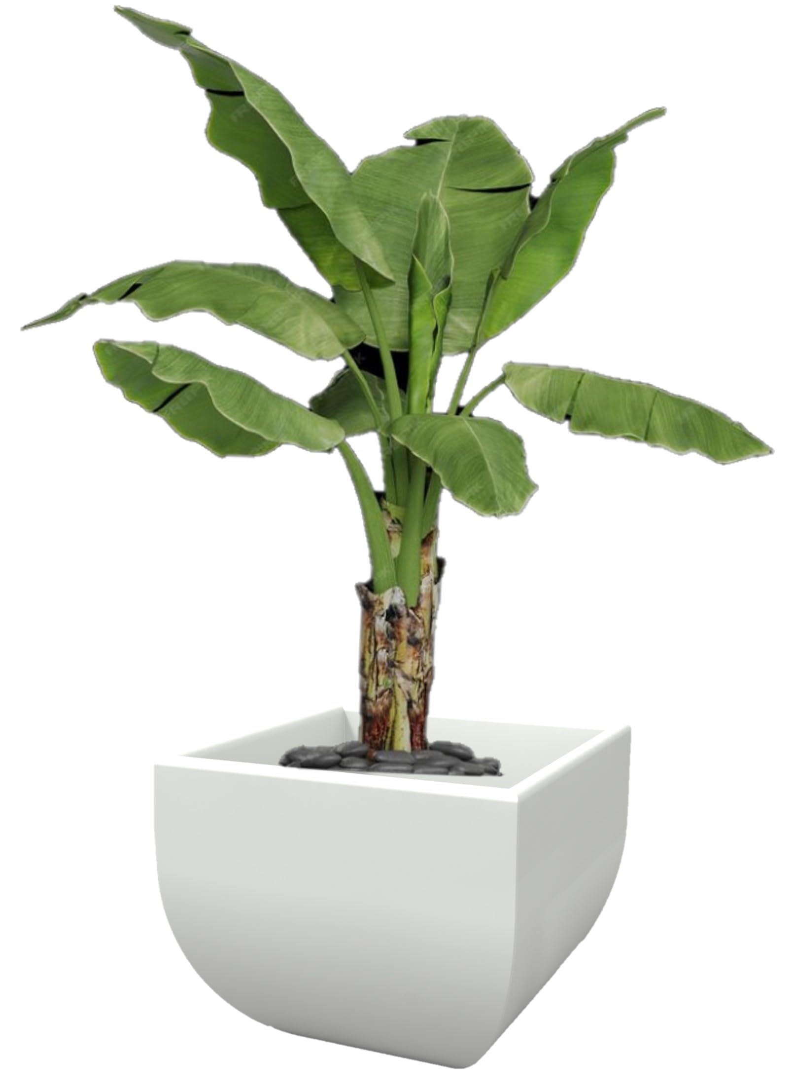 Kloris Vase, Polyethylene (PE), White, 50x50