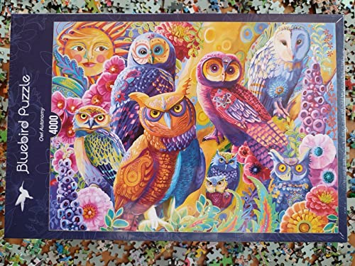 Preisvergleich Produktbild Puzzle - Owl Autonomy Eule - 4000 Teile - Bluebird Art (70550)
