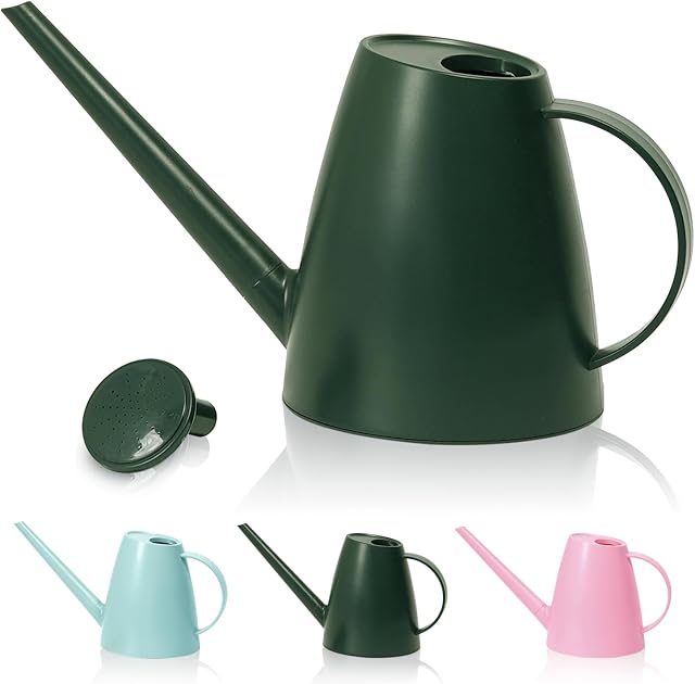 Arrosoir Bamworld pour plantes d'intérieur, arrosoir à long bec pour plantes de jardin, petit arrosoir pour fleurs d'intérieur, 1.8L 60oz 1/2 gallon (vert foncé)