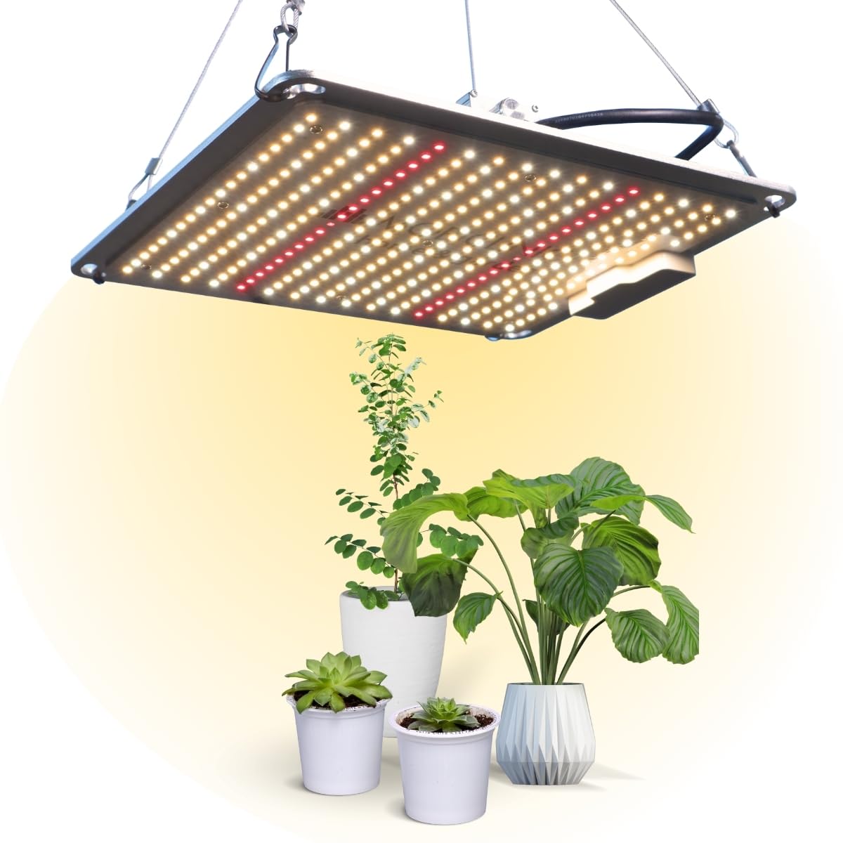 Mobiclinic®, Lampada per piante, Growlight, 100W, Spettro completo, Dimmerabile in 10 livelli, Led high end, Funzione dimmer, Efficienza 2, 8 mmol/j, Da interno, Ortaggi, Fiori