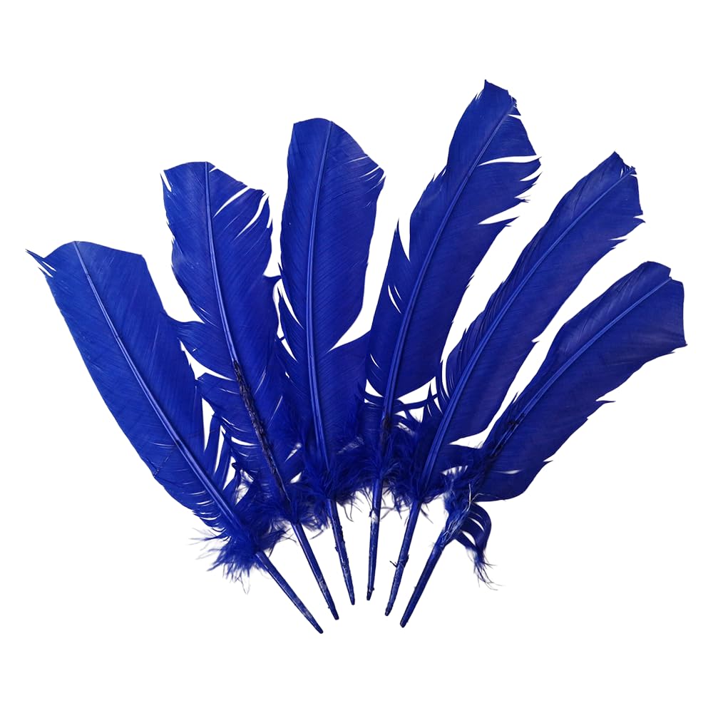 Turkey Feather Blue, Pack of 6
