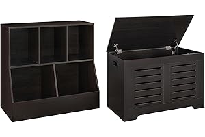 Dinzi LVJ 5 Cubby Toy Storage Organizer with Flip Top Storage Chest