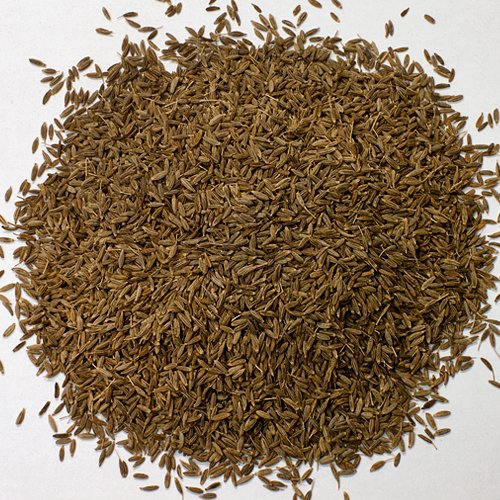 yƖpzN~iz[jy1000g/1kgz/XpCXEn[uEhE