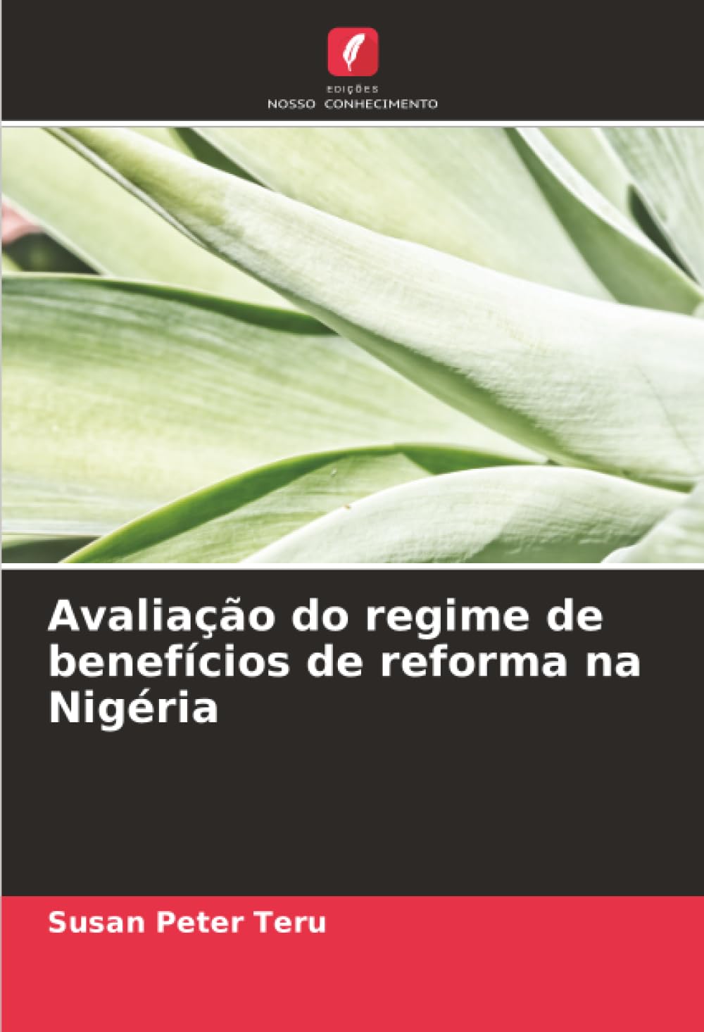 Avaliação do regime de benefícios de reforma na Nigéria