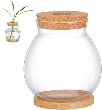 Milisten Desktop Fish Bowl with Lid Small Glass Fish Tank with Bamboo Cushion Hydroponic Plant Terrarium for Betta Home Office Desk Bookshelf Table Decor