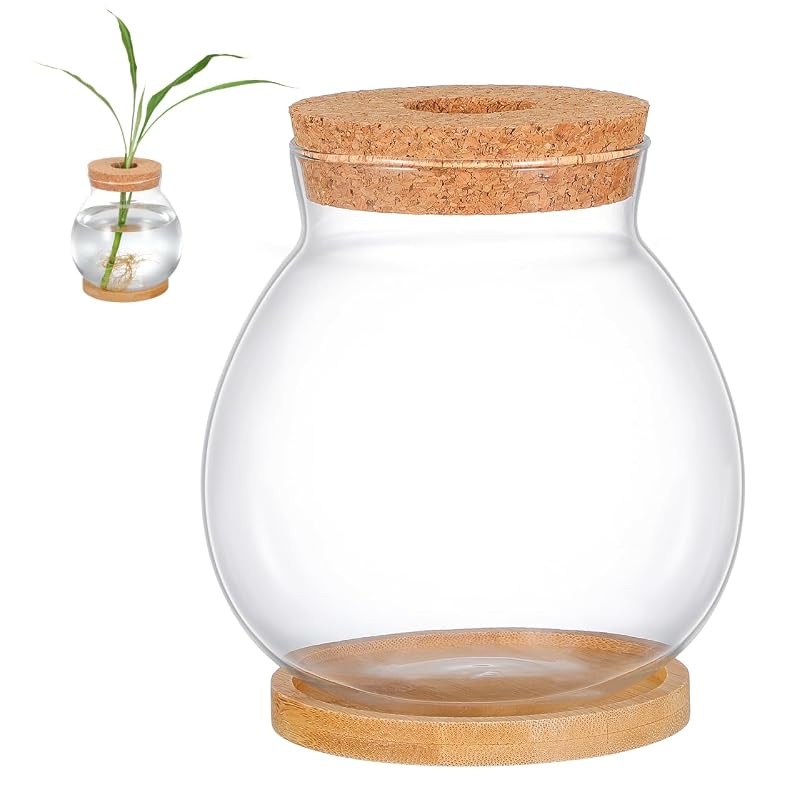 Aquário Globo de Vidro Transparente Beavorty com Tampa de Madeira e Base de Bambu para Betta, 546 mL