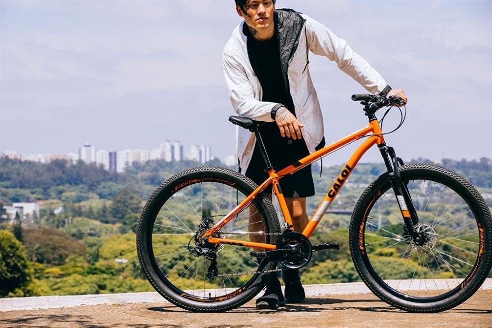 Bicicleta Mtb Caloi Two Niner Alloy Aro 