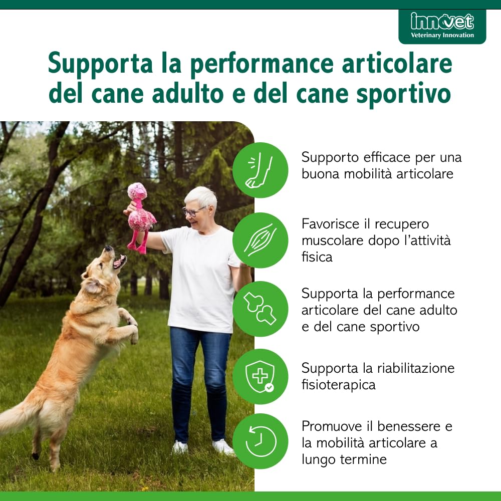 Innovet Condrogen Adult & Sport per cani – 60 bustine stick - Supporto articolare avanzato per cani adulti e cani sportivi, aiuta a mantenere mobilità, performance articolare e recupero muscolare