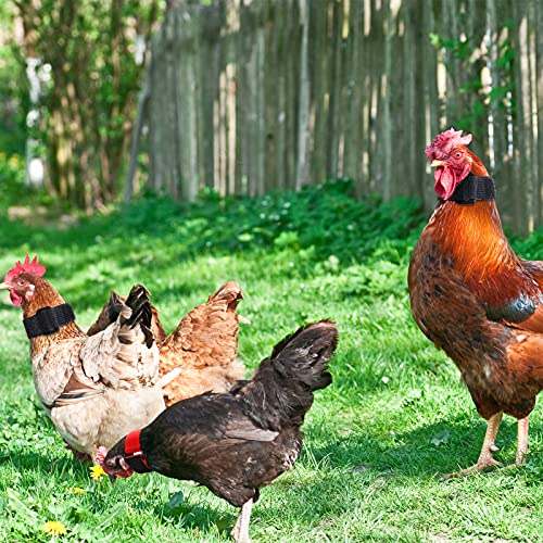 Xuniea 4 Verstellbares Hahnenhalsband Krähensicheres Hahnenhalsband mit Hakenverschluss Nylon-Halsband Verhindert DASS Hühner Schreien und Die Nachbarn Stören für Haushühner(Schwarz und Rot)