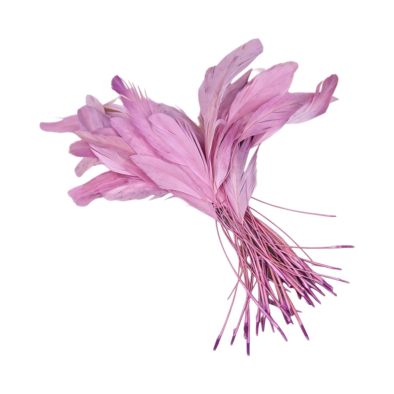yanzunlrn Of 50 Multiple Color Plumage 12 18CM for Unique Costume Accessories and Event Decoration Long Craft Quills