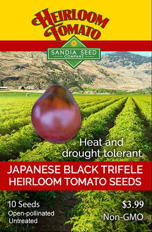 Amazon.com : Japanese Black Trifele Heirloom Tomato 10 Seeds
