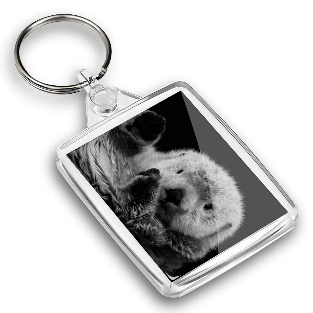 Destination Vinyl Ltd Unisex Multi 1 X Photo Keyring - Sea Otter Floating |Keychain|Keyring|Charm| #37222