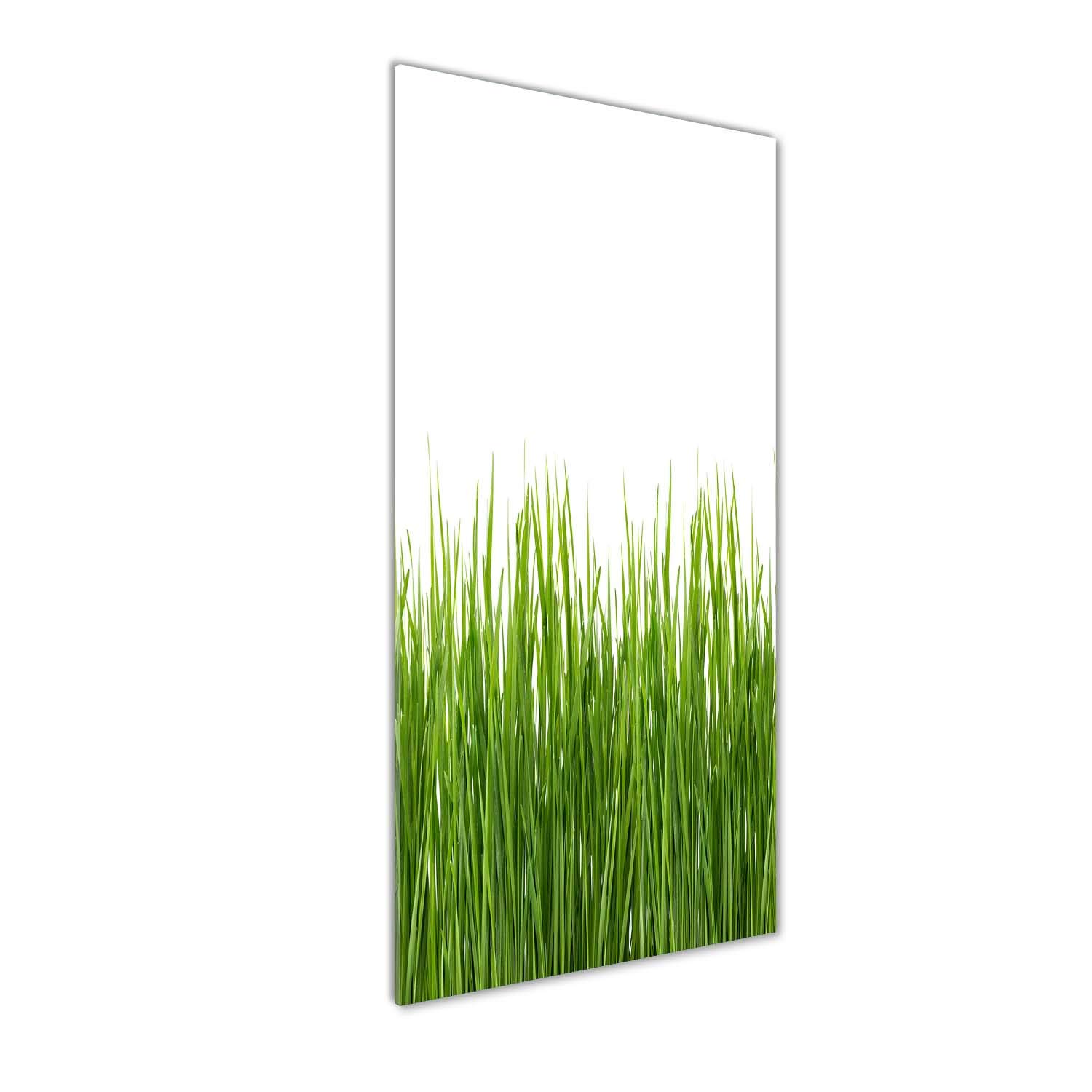 Tulup - Dosseret en verre - 50x100 - Crédence de cuisine - Plan de Travail en Verre - Fond de hotte verre - en Verre de sécurité trempé - Murale Splash-back Guard - Fleurs et plantes - Herbe verte - Vert