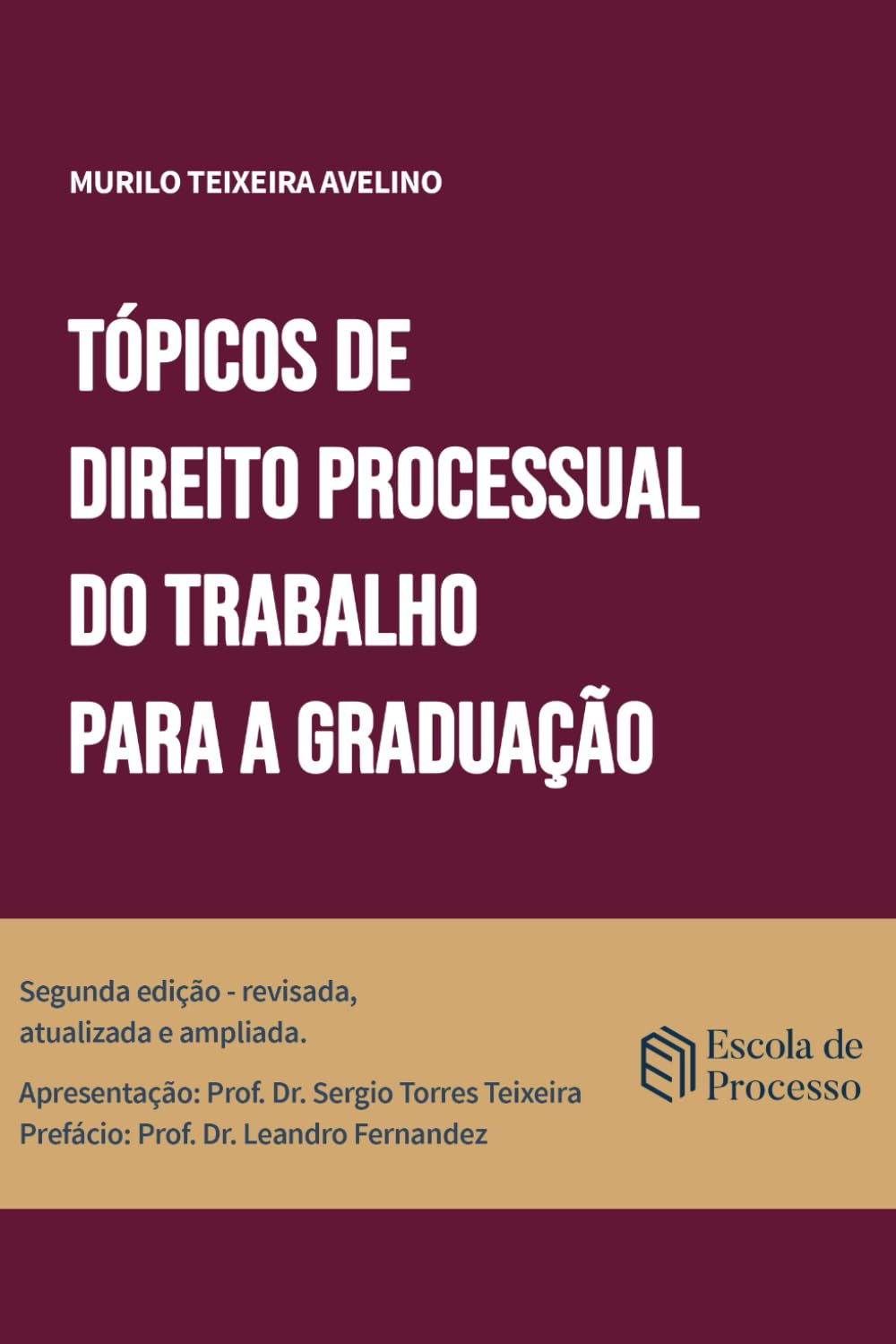 Tópicos de Direito Processual do Trabalho para a Graduação