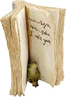 Vista 1 de Top Collection Miniatura jardín de hadas y rana terrario escondida en figura de libro