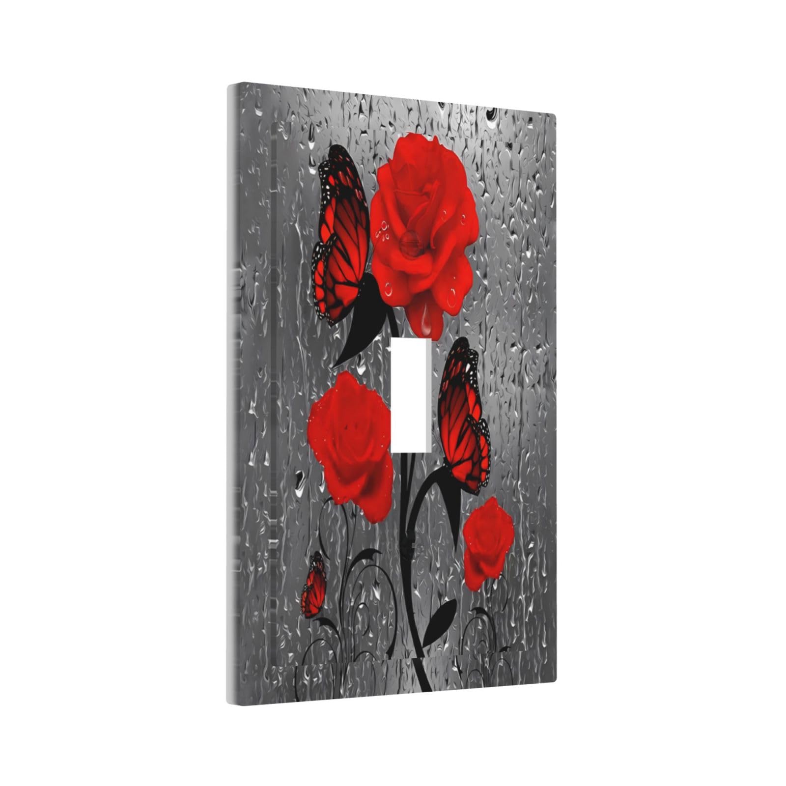 Plaque D'interrupteur à Bascule Double Peinte à La Main