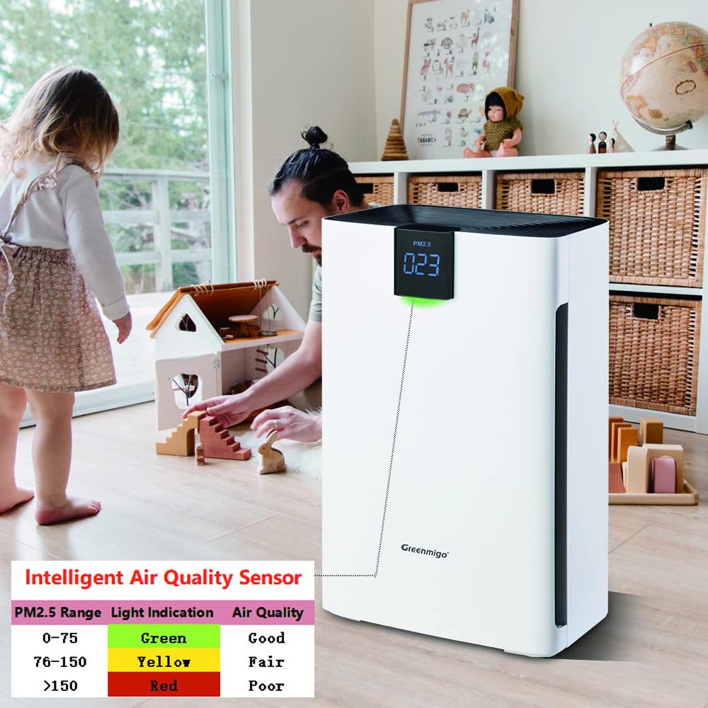 Purificatore d'Aria Silenzioso con Filtro HEPA 3 in 1 e Carbone Attivo, Ionizzatore, Timer, 60m², 320m³/h, Elimina Odori Cucina Fumo Polvere Muffa Pet Dander, per Casa Ufficio