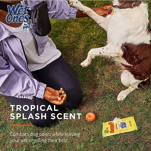 Image of Wet Ones Mixed 18 Piece Bundle of Human & Pet Wet Wipes, Tropical Splash Scent| 10 Packs Antibacterial Wipes, 20 Ct Plus 8 Packs for Pets Paw & Tushie Dog Wipes, 30ct