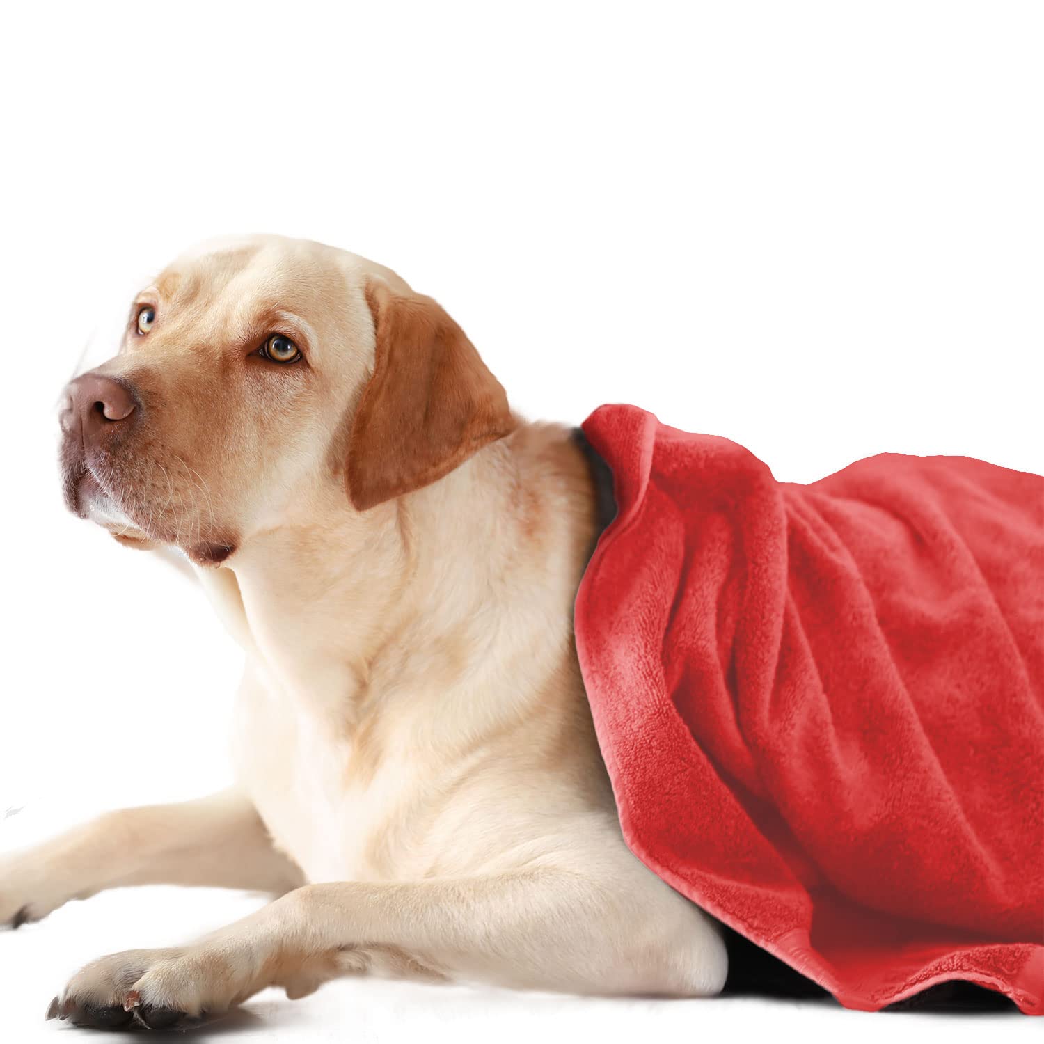 Sassoon Large Pet Towels | Ultra Soft & Microfiber | Quick Drying | Machine Washable | Colour - Red Rose (Pack of 1) (B0B2D7M49C) Amazon Price History, Amazon Price Tracker