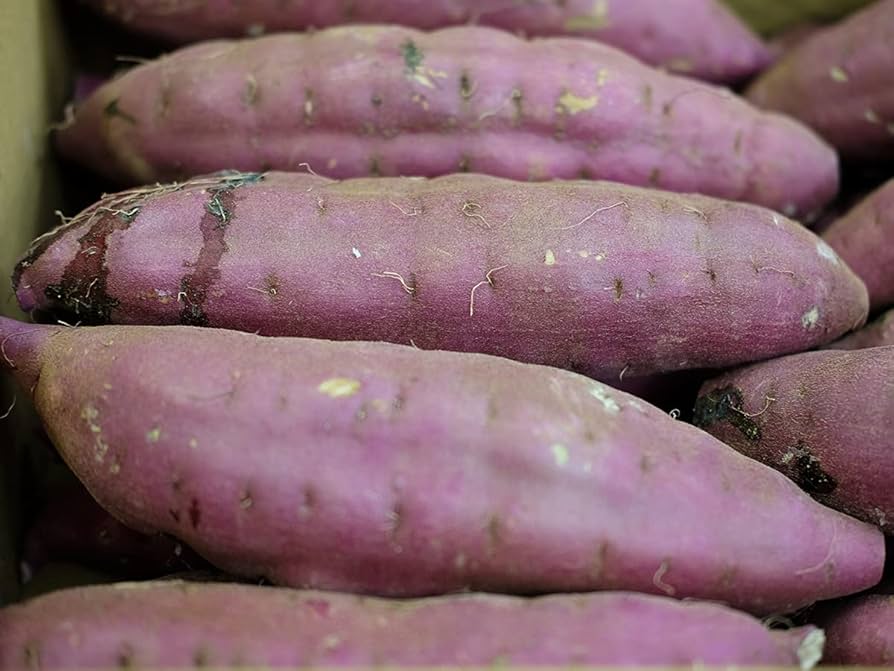 茨城県産紅はるかMサイズ20キロ　kana☆品 d4f57559e9878f662e5101eef93a13