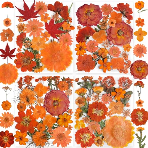 30 Typen 144 Stück Orange Getrocknete Gepresste Blumen für Harz - YouthBro Echte Naturblumen Kräuterset für DIY Schmuck, Kerzen, Seifen, Vasenherstellung, Nagelkarten, Scrapbook-Kunsthandwerk