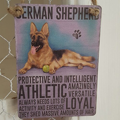 Pastore Tedesco Small Hanging Metal Sign Wall Decor Plaque Protettiva e Intelligente, Atletica, capanno enormi quantità di Capelli.