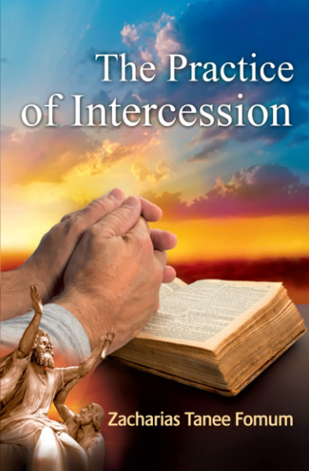 The Practice of Intercession: 4 (Prayer Power Series)
