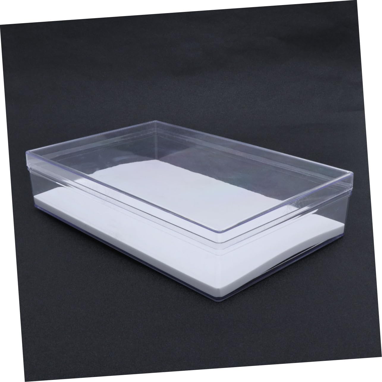 Cabilock Caja Expositor Transparente para Especímenes de Insectos Vitrina Multifuncional con Tapa Protectora Almacenamiento Duradero para Joyas Monedas y Manualidades