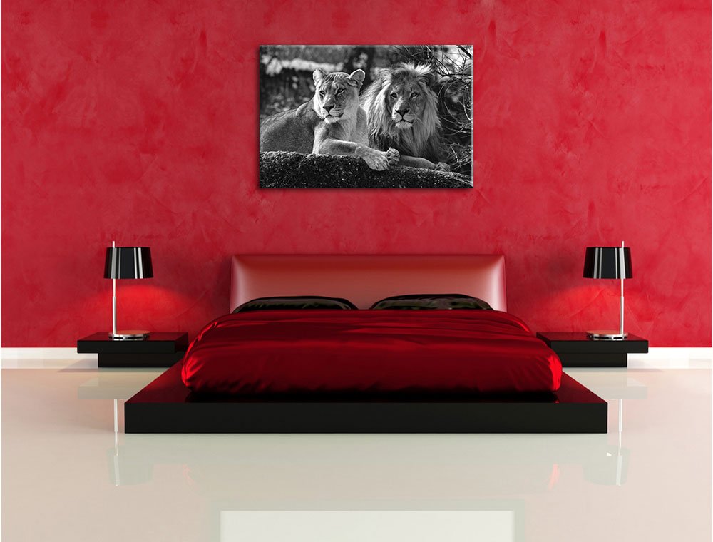 Pixxprint interessiertes Löwenpaar Kunst B&W, Größe: 120x80cm, Leinwandbild, fertig gespannt, Wandbild, Dekoration, Kunstdruck, kein Poster