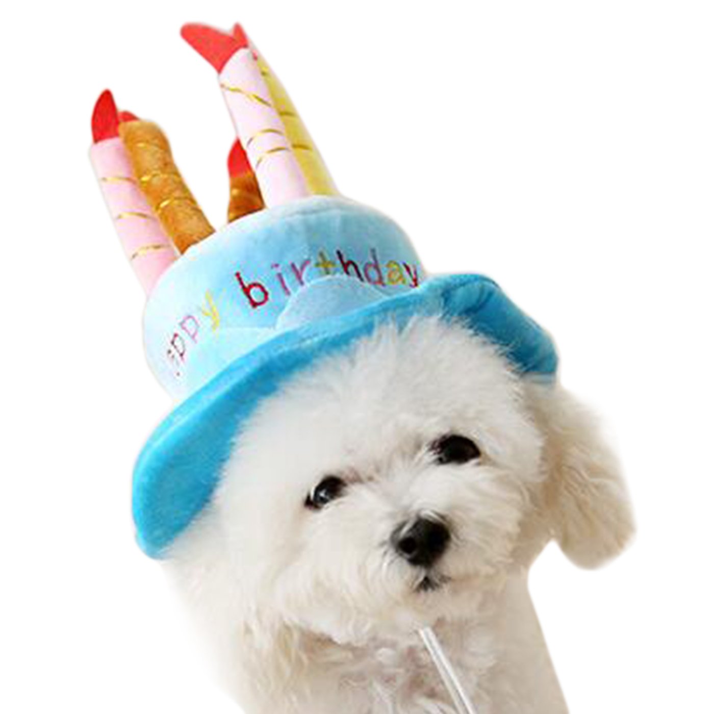 Alfie Pet by Petoga Couture - Pattie Birthday Hat Party Costume (for Small Dogs & Cats) - Color: Blue