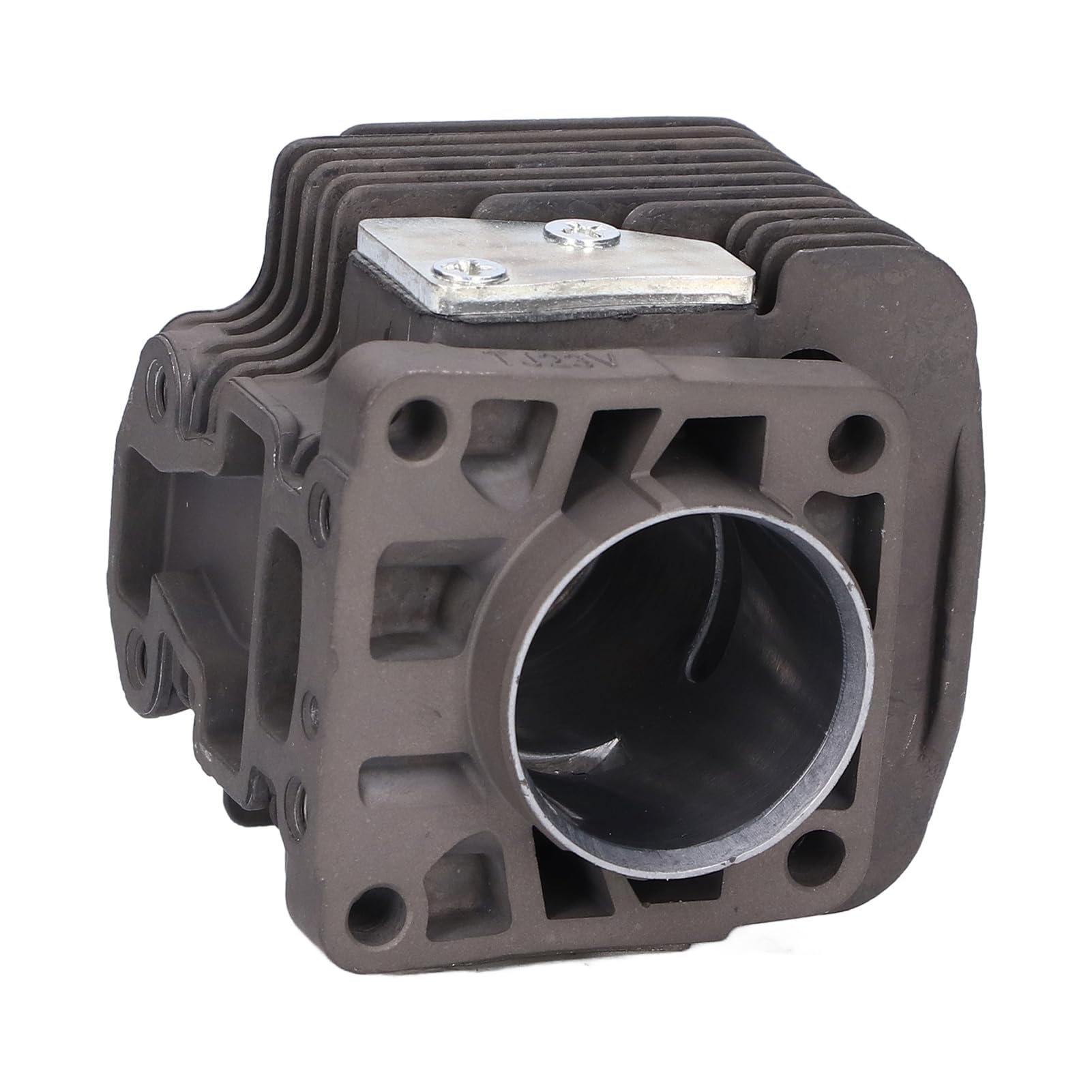 SIXRUN Cilindro y Pistón para Desbrozadora TJ23