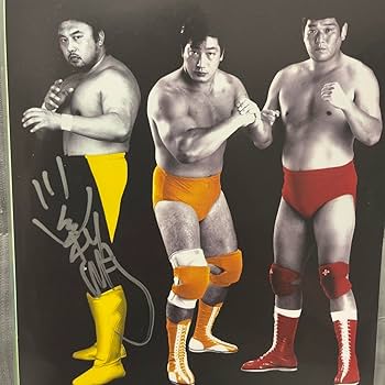 Amazon.co.jp: 全日本プロレス 直筆サインポートレート 四天王