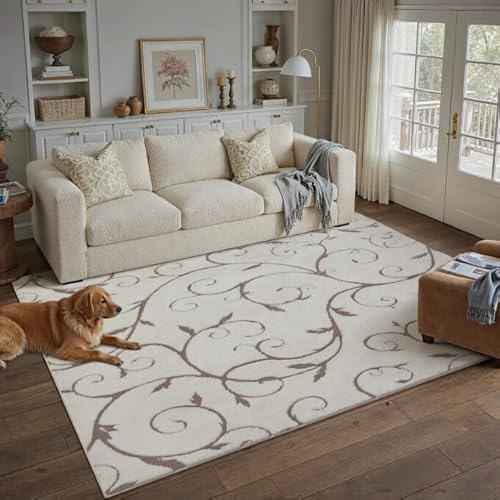 Washable Neutral Area Rug 5x7 Beige Soft Shag Rugs for Living Room Modern Boho High Pile Non-Shedding Throw Rugs Non Slip Indoor Office Carpet for Pla