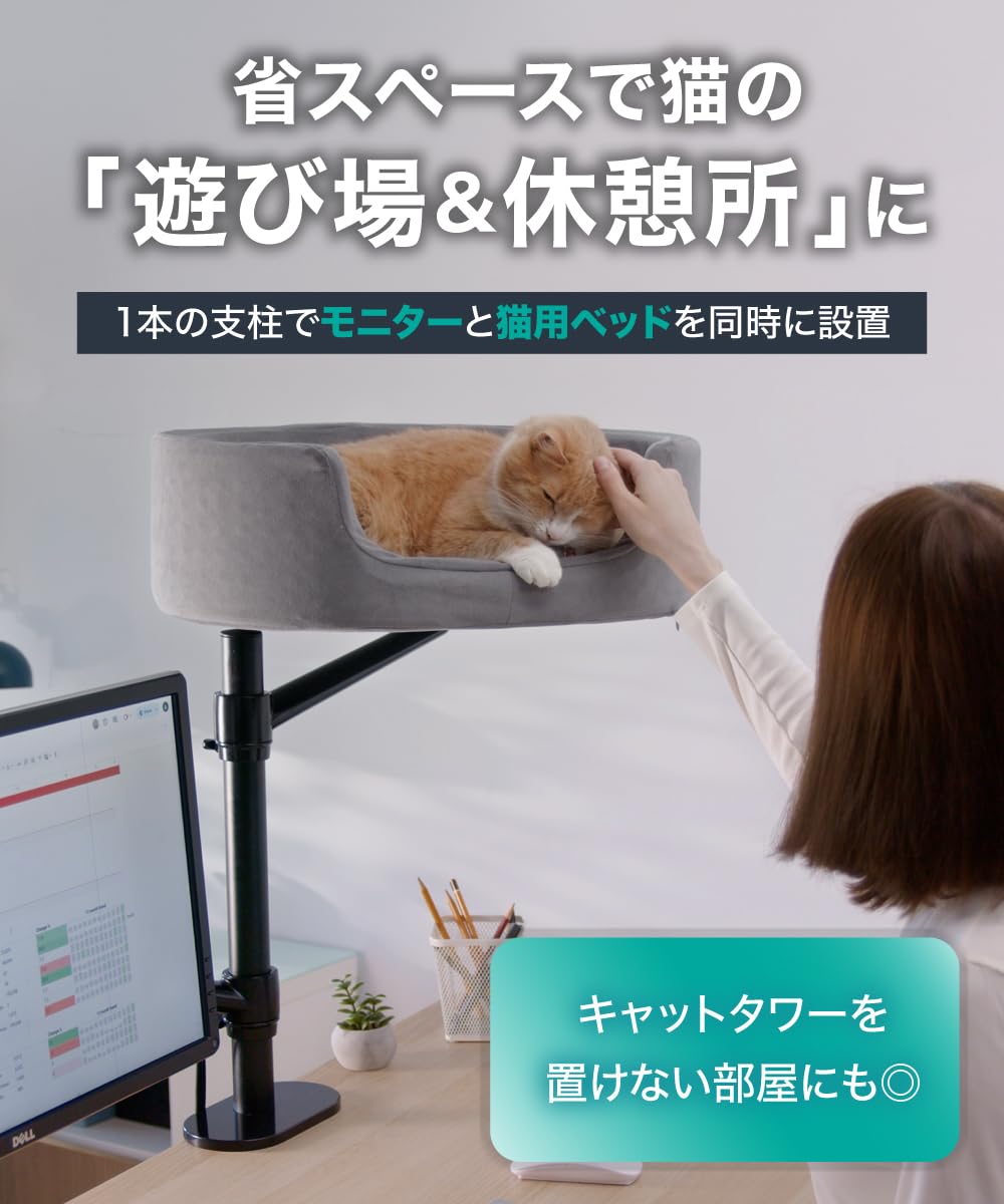 Amazon.co.jp: LOE(ロエ) 【日本企画】 猫ベッド 新発想 デュアル