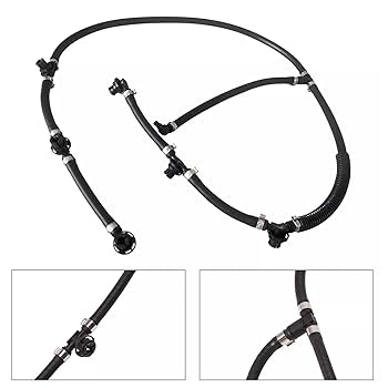 オニオン 61OM5t3AQ6L._UF350,350_QL80_.jpg