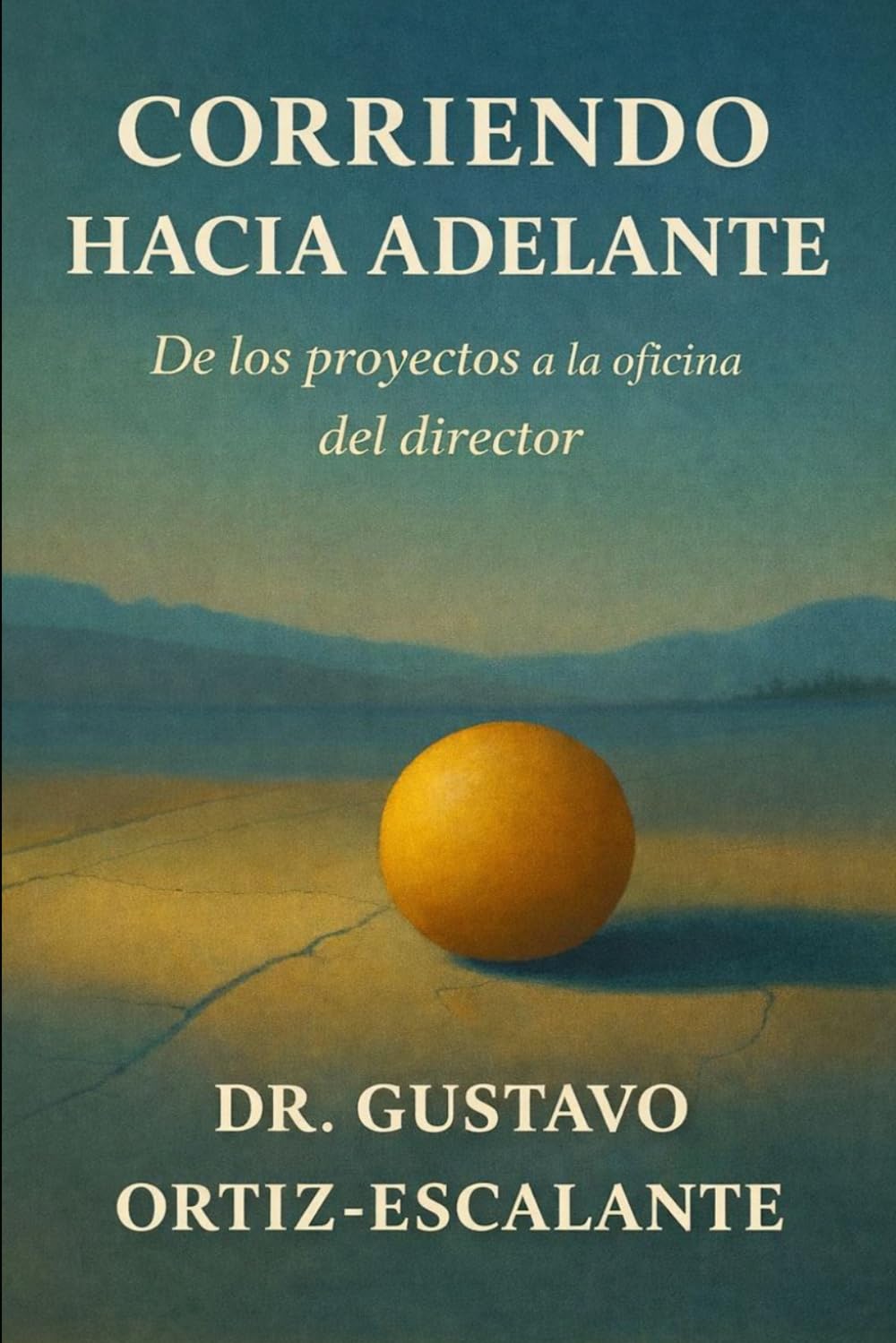 CORRIENDO HACIA ADELANTE: DE LOS PROYECTOS A LA OFICINA DEL DIRECTOR