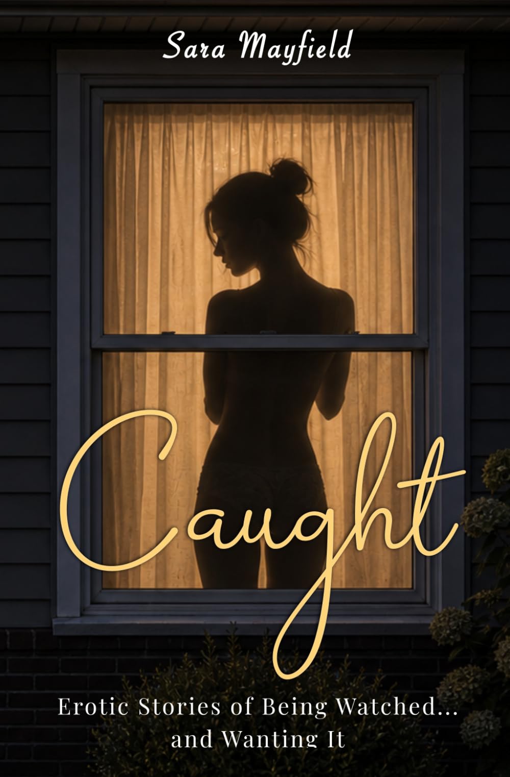 Caught: An Erotic Voyeur Collection (Private Fantasies)
