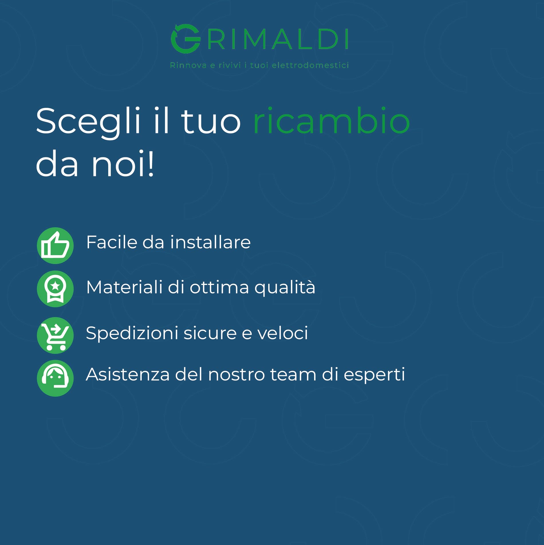 G GRIMALDI Ventilatore Assiale Aspirante Ø 250 mm Compatibile 23510013 — 220V 1400rpm — Flusso Aria Potente — Ricambio Alternativo per Estrattori e Refrigerazione